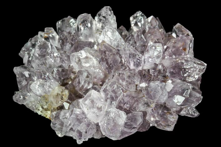Amethyst Flower Crystal Cluster - Uruguay #102219